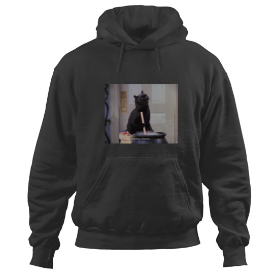 Discover Salem the Cat - “Making S’mores” Hoodies