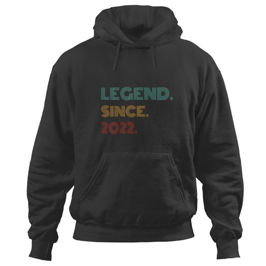 Discover Kids 2 Years Old Legend Since 2022 2nd Birthday Hoodies