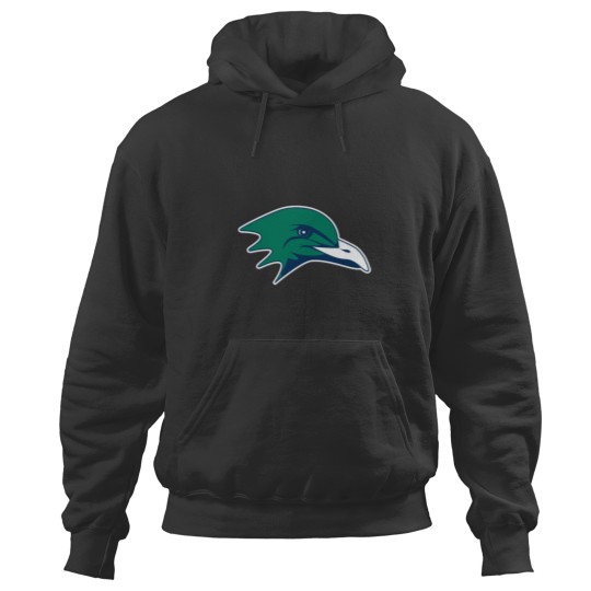 Discover Endicott College Gulls Hoodies