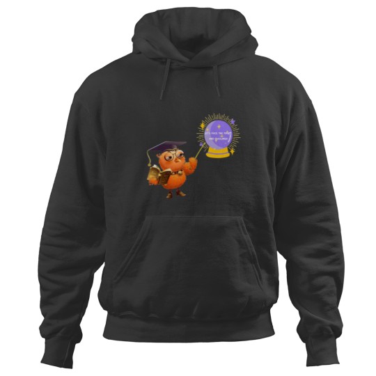 Discover Duolingo funny, Duolingo bird Hoodies