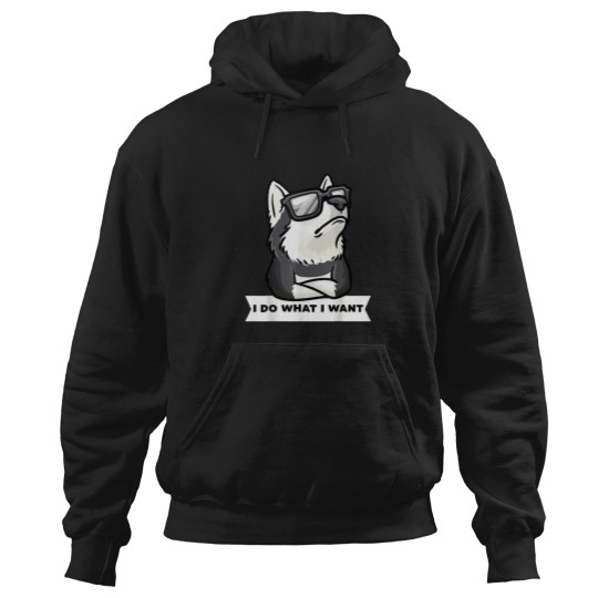 Discover Sturer Pomsky dog funny dog owners Hoodies