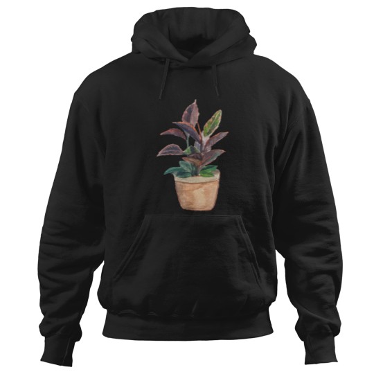Discover Watercolor Rubber Tree Plant .png Hoodies