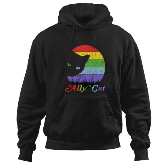 Discover Ally Cat Pride LGBTQ Funny Hoodie