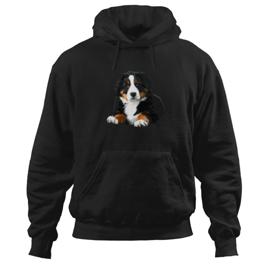 Discover Bernese Mountain Dog Pup Hoodies