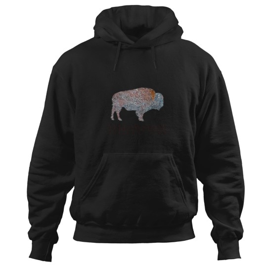Discover YStone National Park benefit art donating 100 of the profit to national parks in the United S LionsCity Hoodies