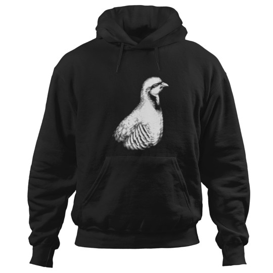 Discover Chukar Partridge Portrait dark background Hoodies