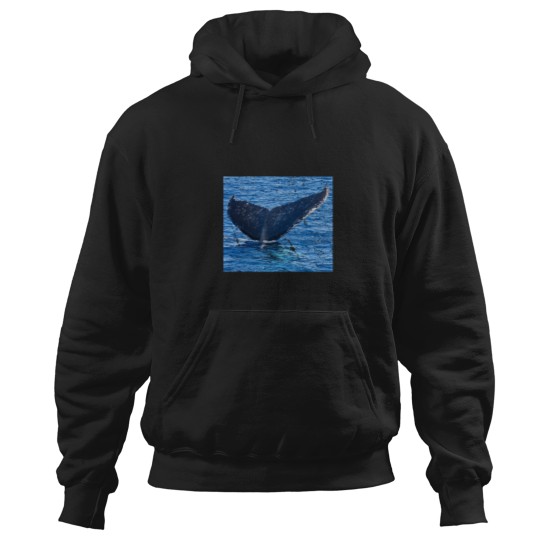 Discover Whales tail Hervey Bay Hoodies