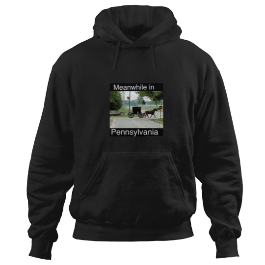 Discover Meanwhile in Pennsylvania Hoodies