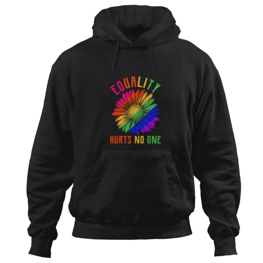 Discover Pride Human Rights Lgbt Equality Hurts No One Hoodies