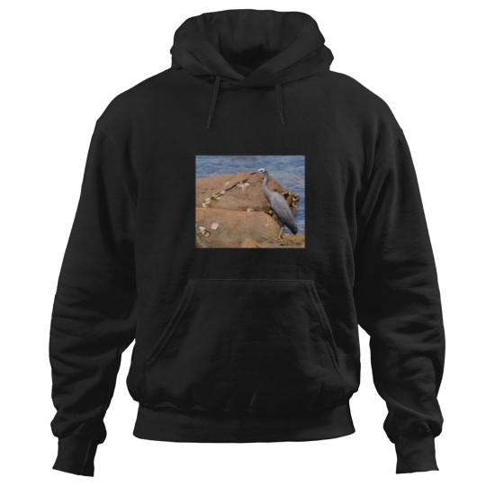 Discover heron at the beach Hoodies