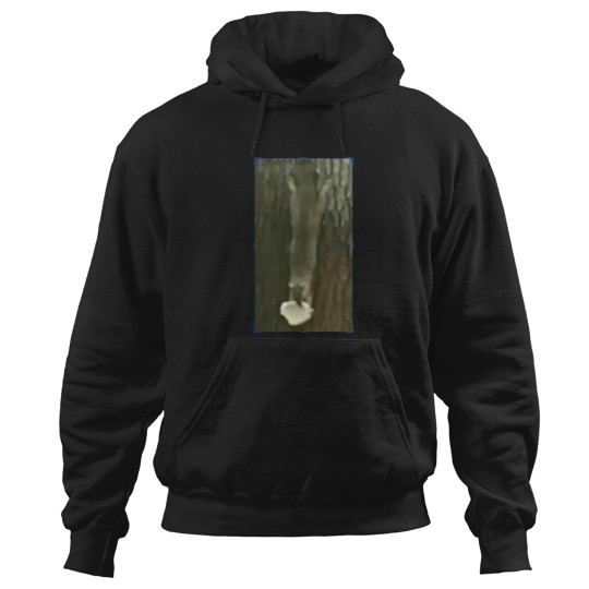 Discover Funny squirrel with nut Hoodies