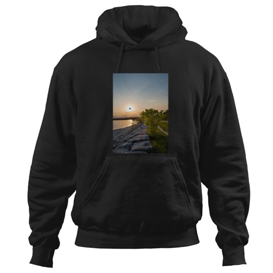 Discover bird flies in front of the sunset Hoodies