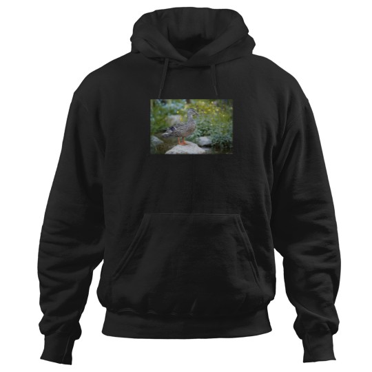 Discover Female Mallard 2640 Hoodies