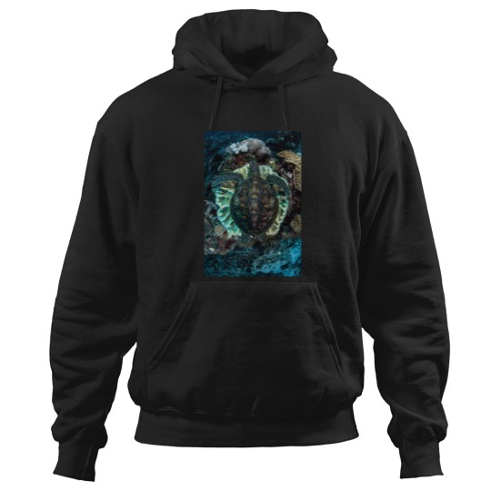 Discover Green Turtle Resting Hoodies