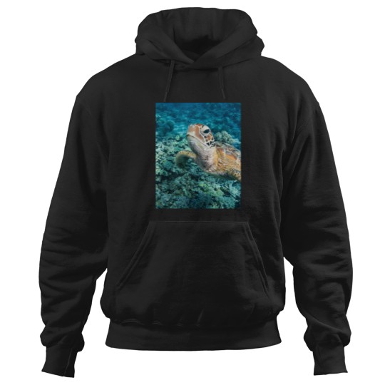 Discover Green Turtle On Great Barrier Reef Hoodies