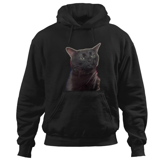 Discover Zoned Out Cat Hoodies