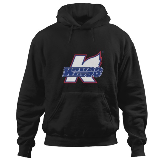 Discover Wings-Kalamazoo Hoodies