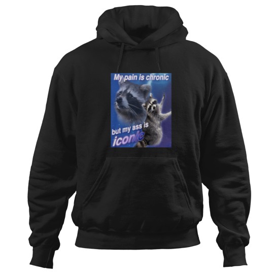 Discover My-Pain-Is-Chronic-But-My-A-Is-Iconic T-Shirt Hoodies