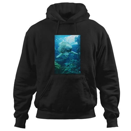 Discover Descending Sea Turtle Sticker 2442 Hoodies