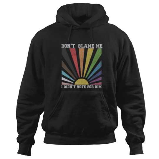 Discover Dont blame me I didnt vote for him rainbow Hoodies