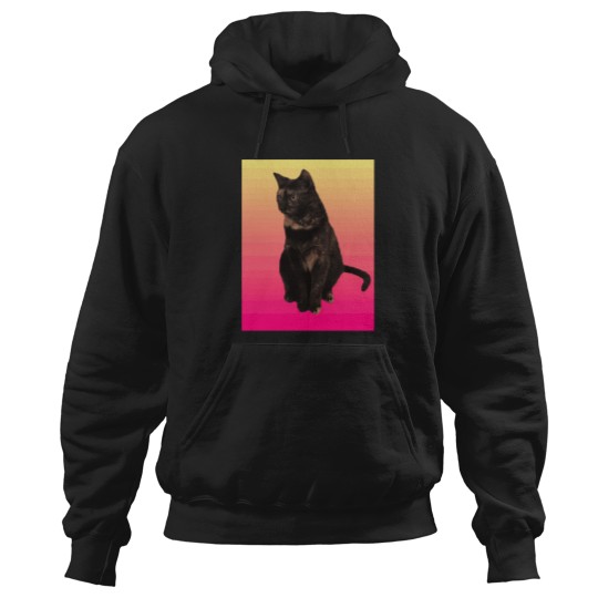 Discover Pretty-Little-Tortie T-Shirt Hoodies