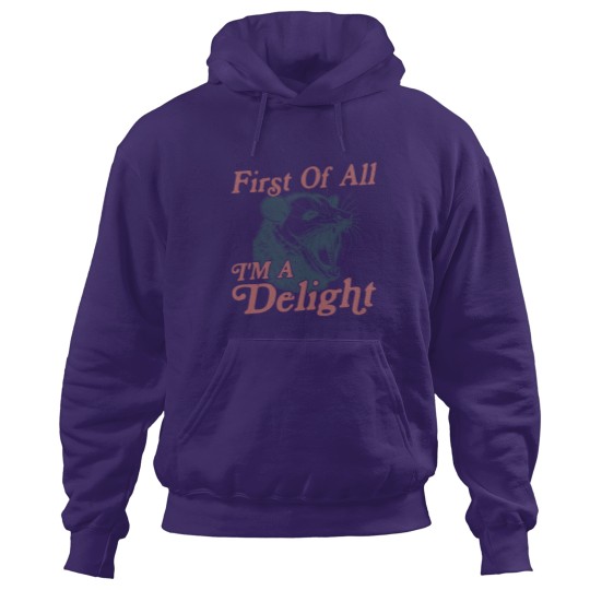 Discover First of All I'm a Delight Sarcastic Funny Opossum  Angry Possum Hoodies