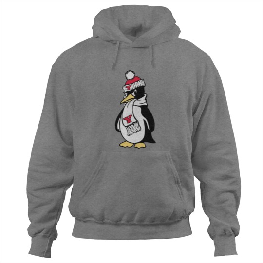 Discover Youngstown State Penguins Hoodies