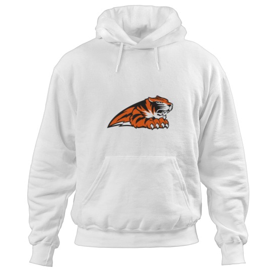 Discover Suny Cobleskill Fighting Tigers Hoodie