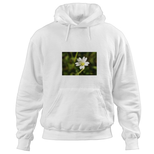 Discover White Flower - European chickweed Premium Scoop Hoodies