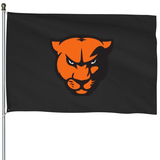 Discover Greenville University Panthers House Flags