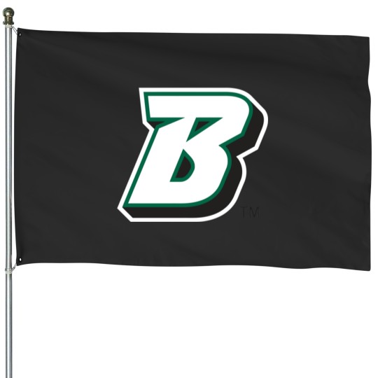 Discover Binghamton University  (1)Binghamton University  (1) House Flags