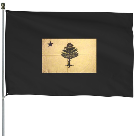 Discover PINE TREE FLAG. APPEAL TO HEAVEN FLAG. OLD PHOTO. House Flags