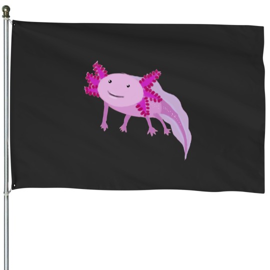 Discover Little House Flags