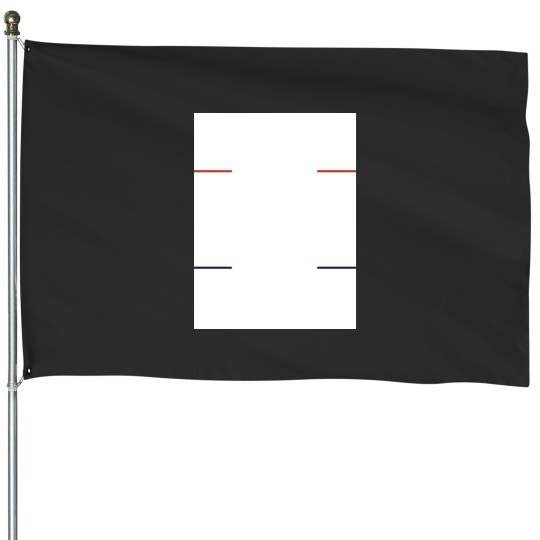Discover Mean tweets 2024 House Flags