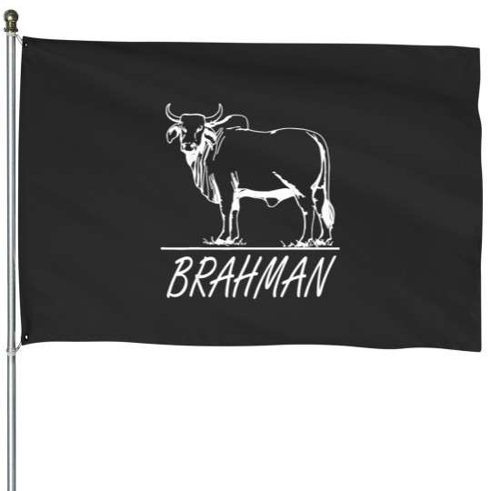 Discover Zebu Cattle, Brahma Bulls, Brahman Cow Milk Yield House Flags