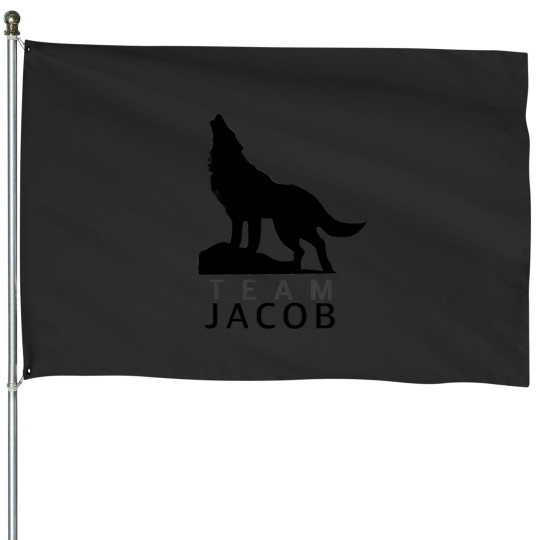 Discover Team Jacob House Flags