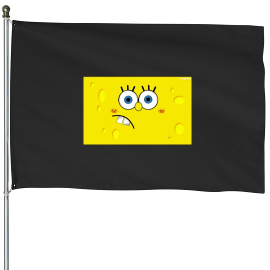Discover sponge bob (24) House Flags