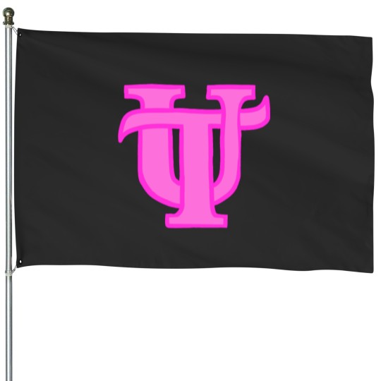 Discover university of tampa pink university of tampa pink House Flags