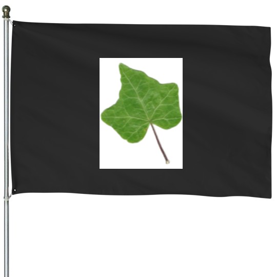 Discover Ivy Leaf House Flags