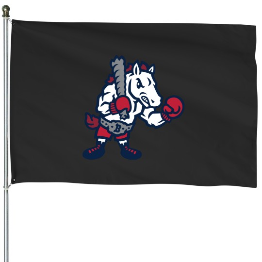 Discover Binghamton Rumble Ponies Sport Clubs Design 1 House Flags