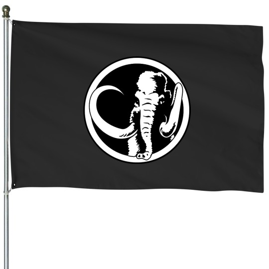 Discover Power Rangers House Flags