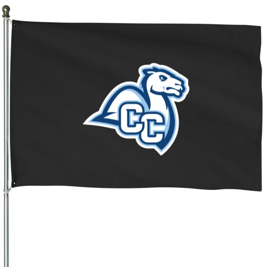 Discover The Connecticut College Camels House Flags