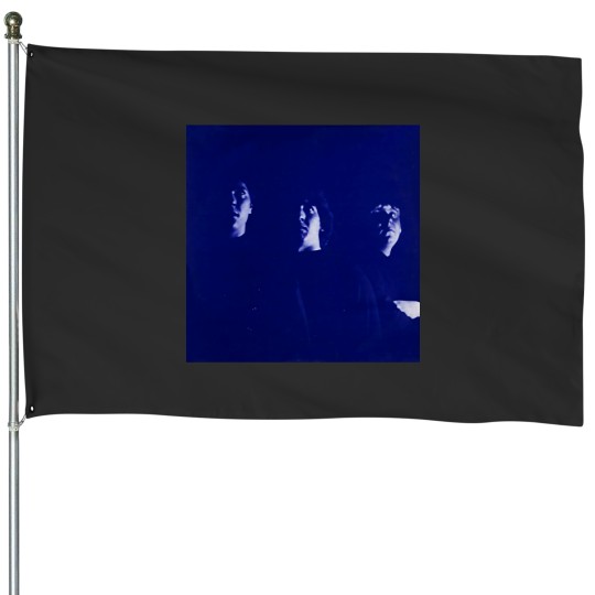 Discover Agent Orange Living in Darkness Cover Artwork House Flags