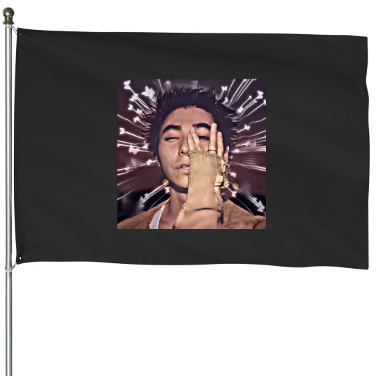 Discover Nijiro Murakami House Flags
