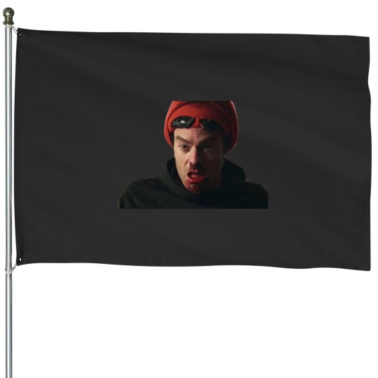 Discover barry season 2 episode 6 - ronnylily House Flags