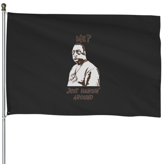 Discover Beetlejuice is doin nothin Just hanging around House Flags