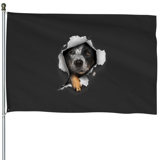 Discover australian cattle dog, herding dog, blue heeler, cattle dog t House Flags