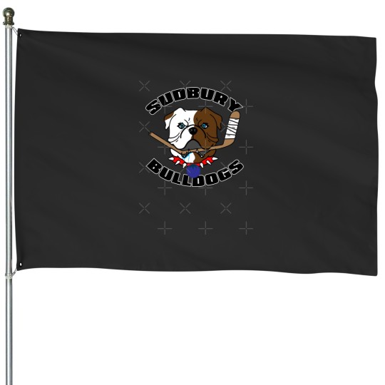 Discover Classic Shoresy House Flags (Single)