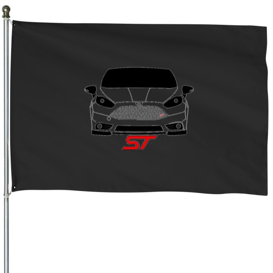 Discover st party 2014 House Flags