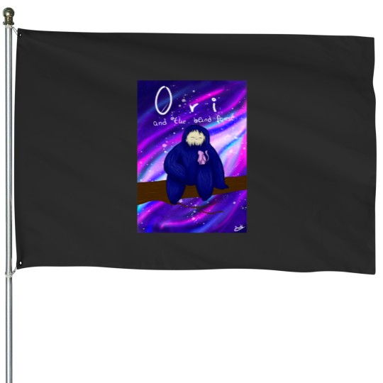 Discover Galaxy Ori and the Blind Forest platform-adventure play game House Flags